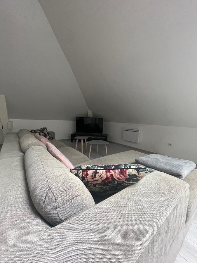 Ferienwohnung Dream Loft Colmar Exterior foto